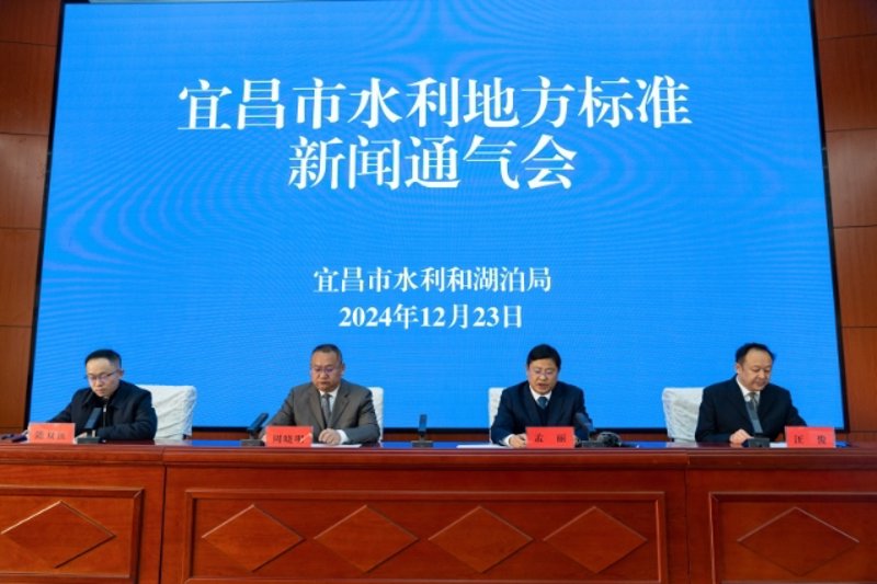 近年来，我国政府出台了一系列涉及数字经济发展的政策措施。这些政策旨在推动数字化转型和产业升级，促进经济高质量发展。一、背景与意义