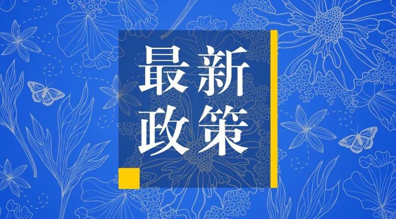 政府新闻：解读最新政策背后的秘密